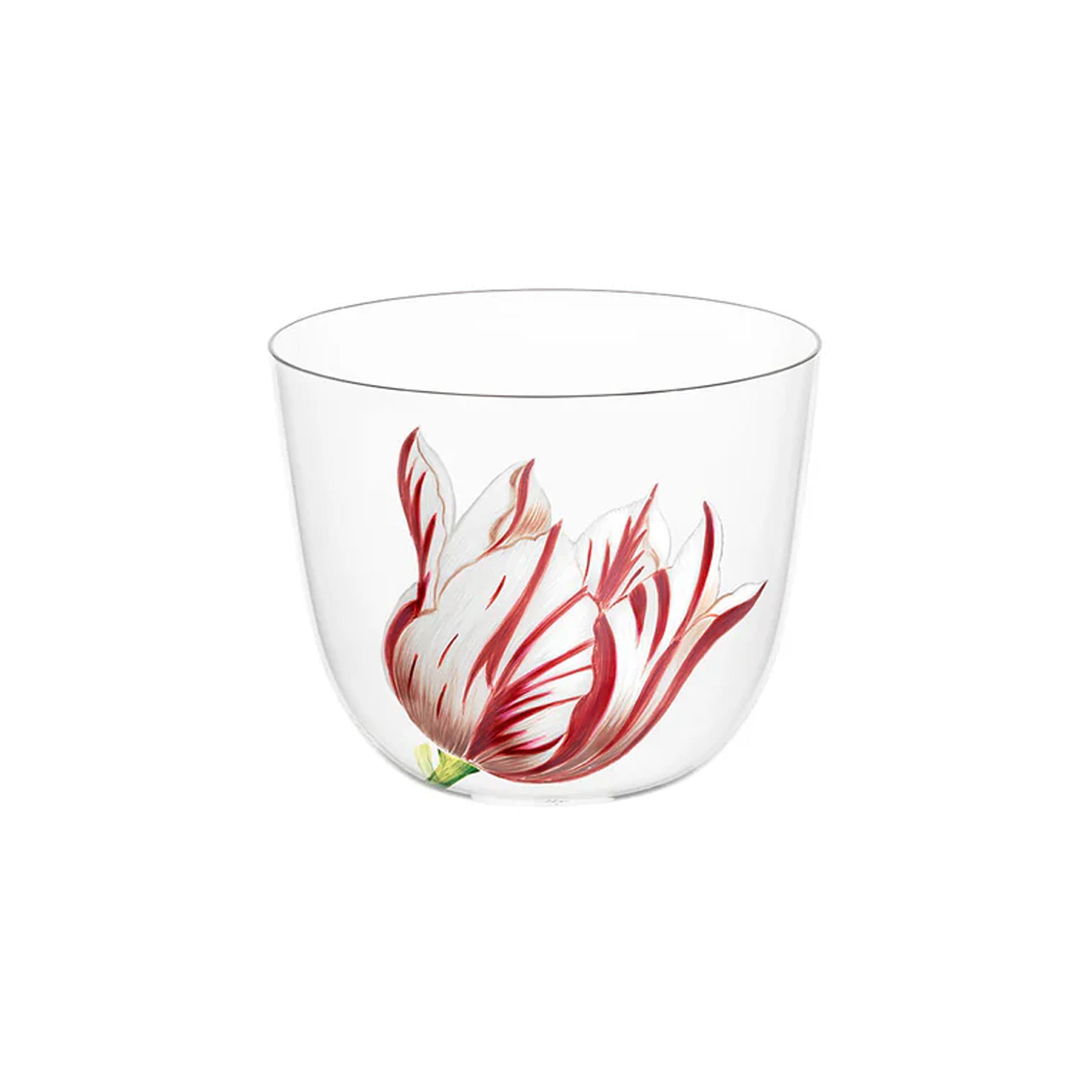 Alpha Tulipmania Water Tumbler with Tulips