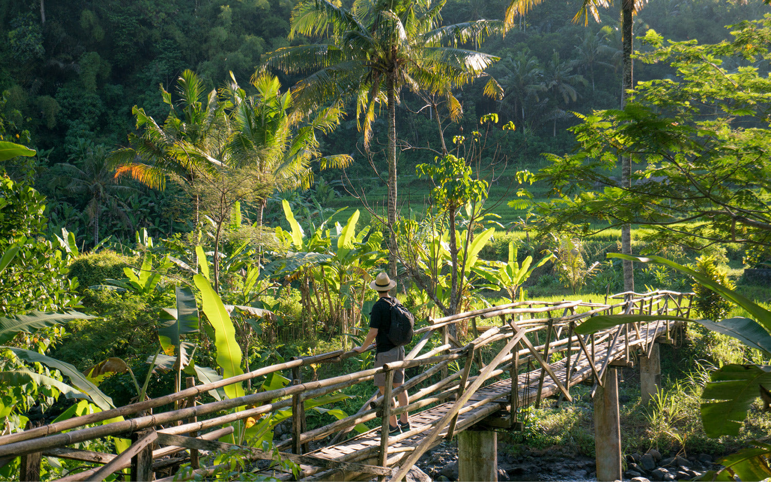 Cycling, Hiking & Trekking