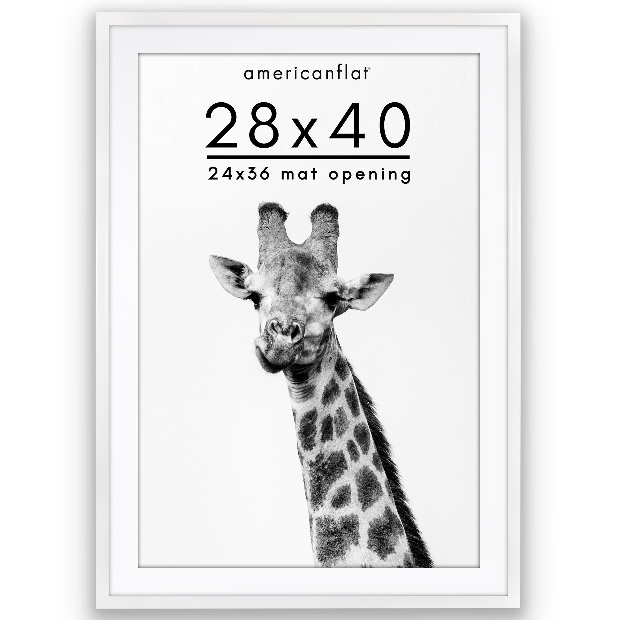 28" x 40" White Frame