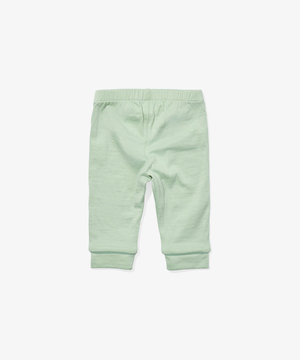 Andy Baby Legging in Dusty Seafoam