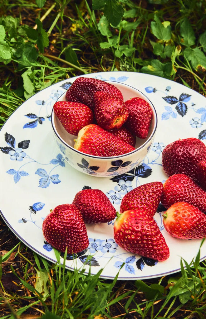 Wild Strawberry Inky Blue Side Plate 8.1in