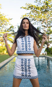Seaside Delfina Mini Skirt