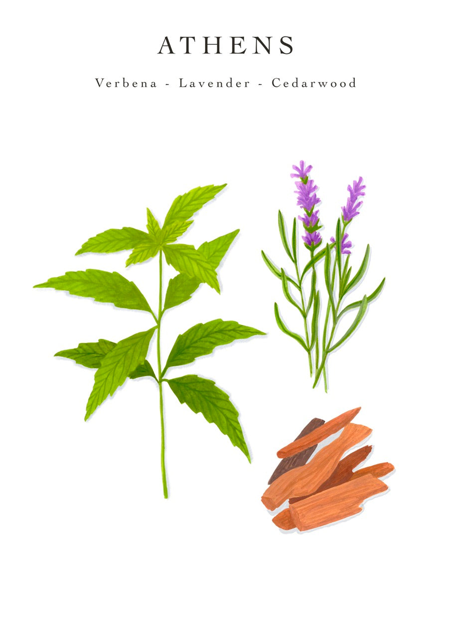 Trio Travel Candles My First Baobab Trio Singapore-Athens-Paris