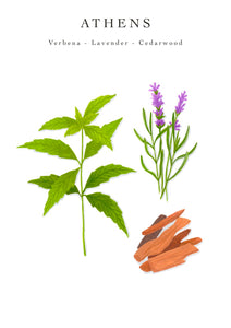 Trio Travel Candles My First Baobab Trio Singapore-Athens-Paris