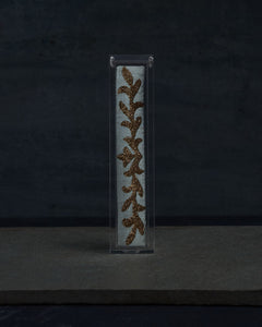 Naftali Mezuzah