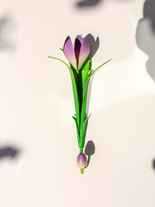 Autumn Crocus Wall Hook