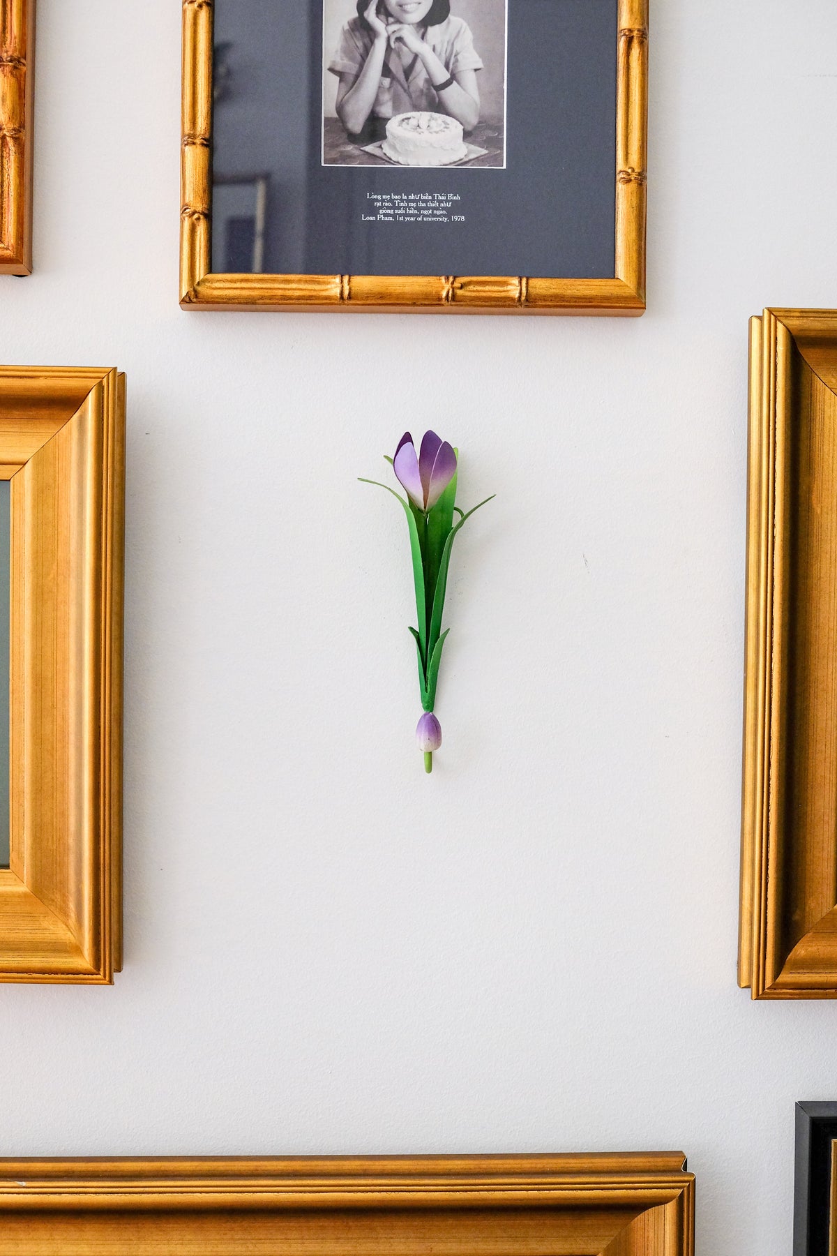 Autumn Crocus Wall Hook