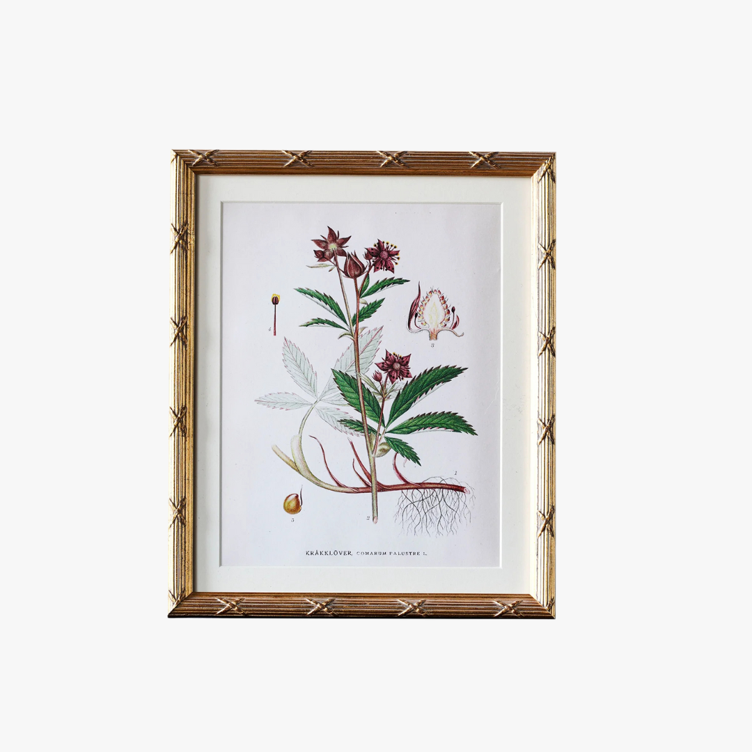 Avondale Matted Gold Frame 8x10