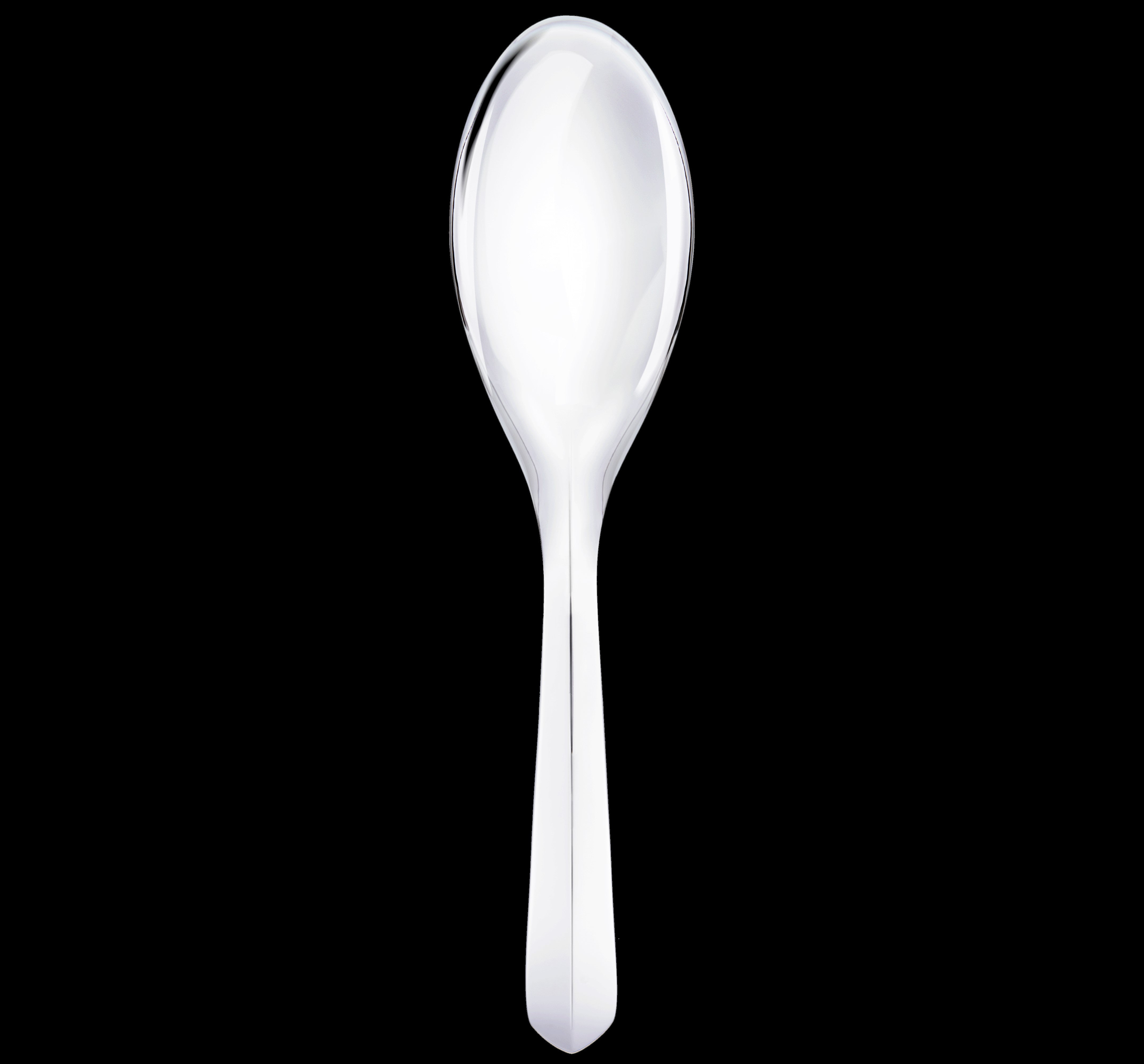 Infini Silver-plated Serving Spoon