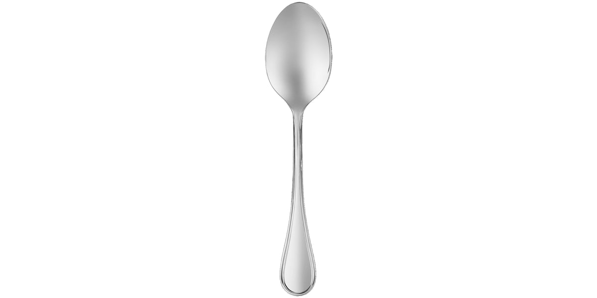 Albi Acier Stainless Steel Serving Spoon