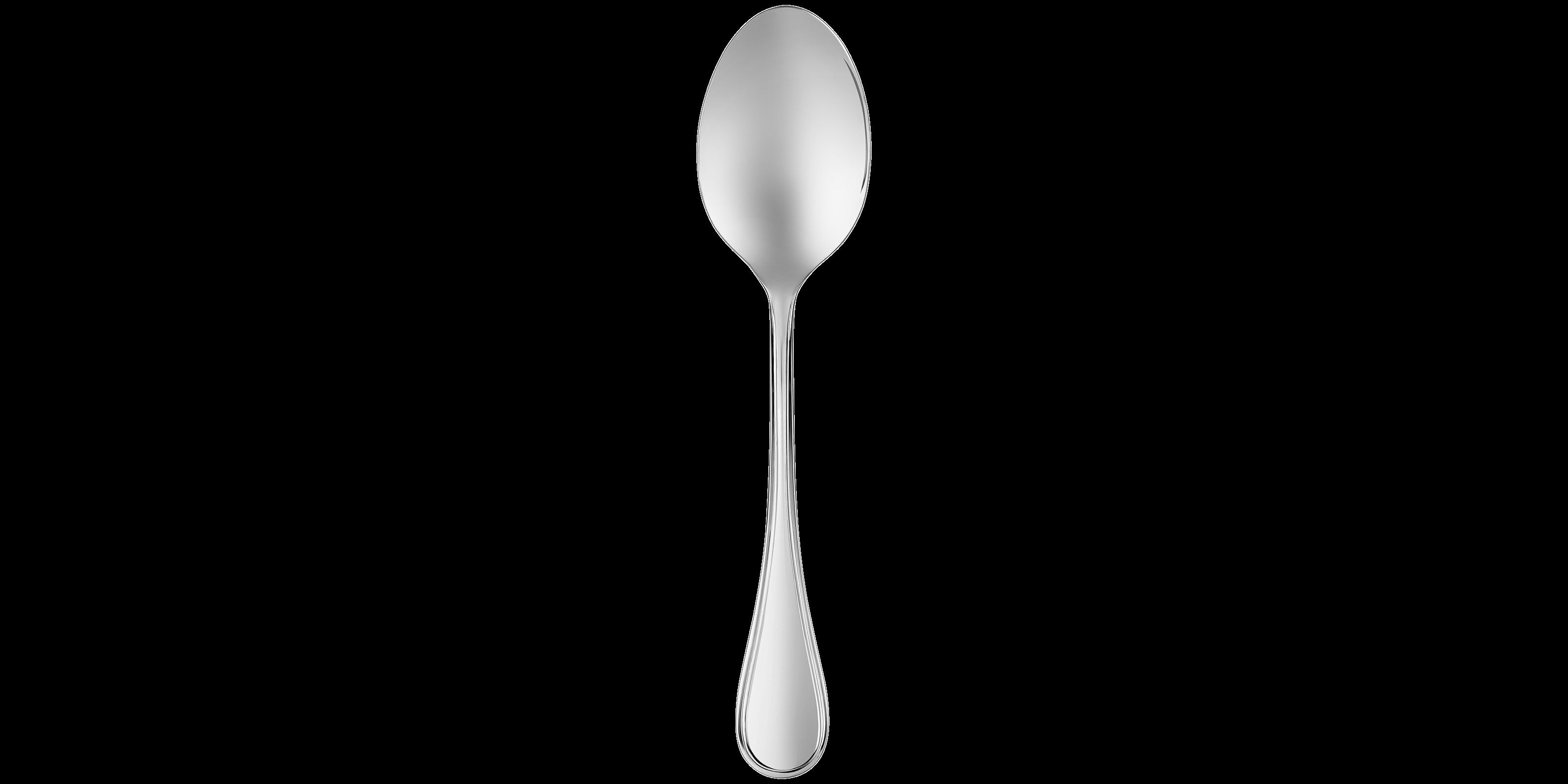 Albi Acier Stainless Steel Serving Spoon