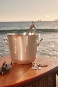 Vertigo Silver-plated Ice Tongs