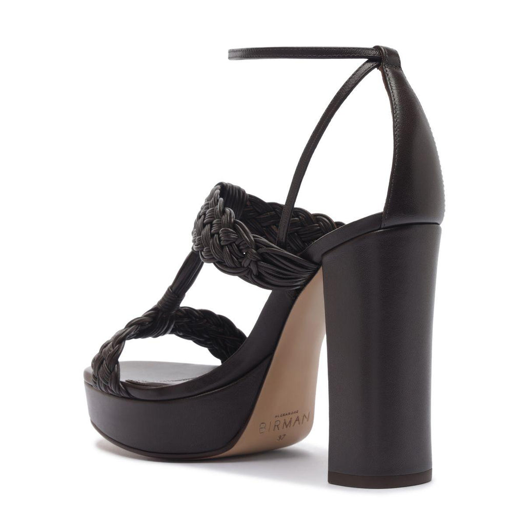 Thalia 110 in Brown