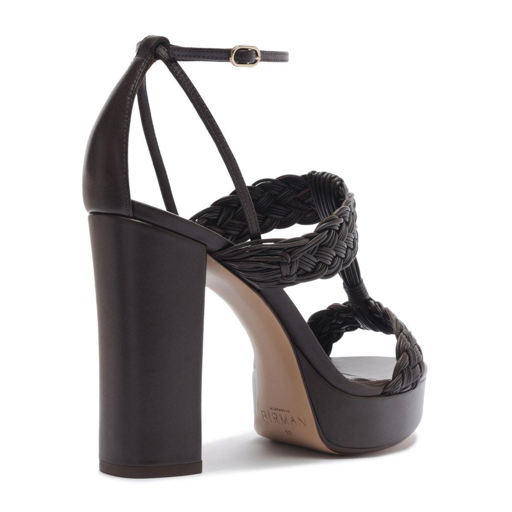 Thalia 110 in Brown