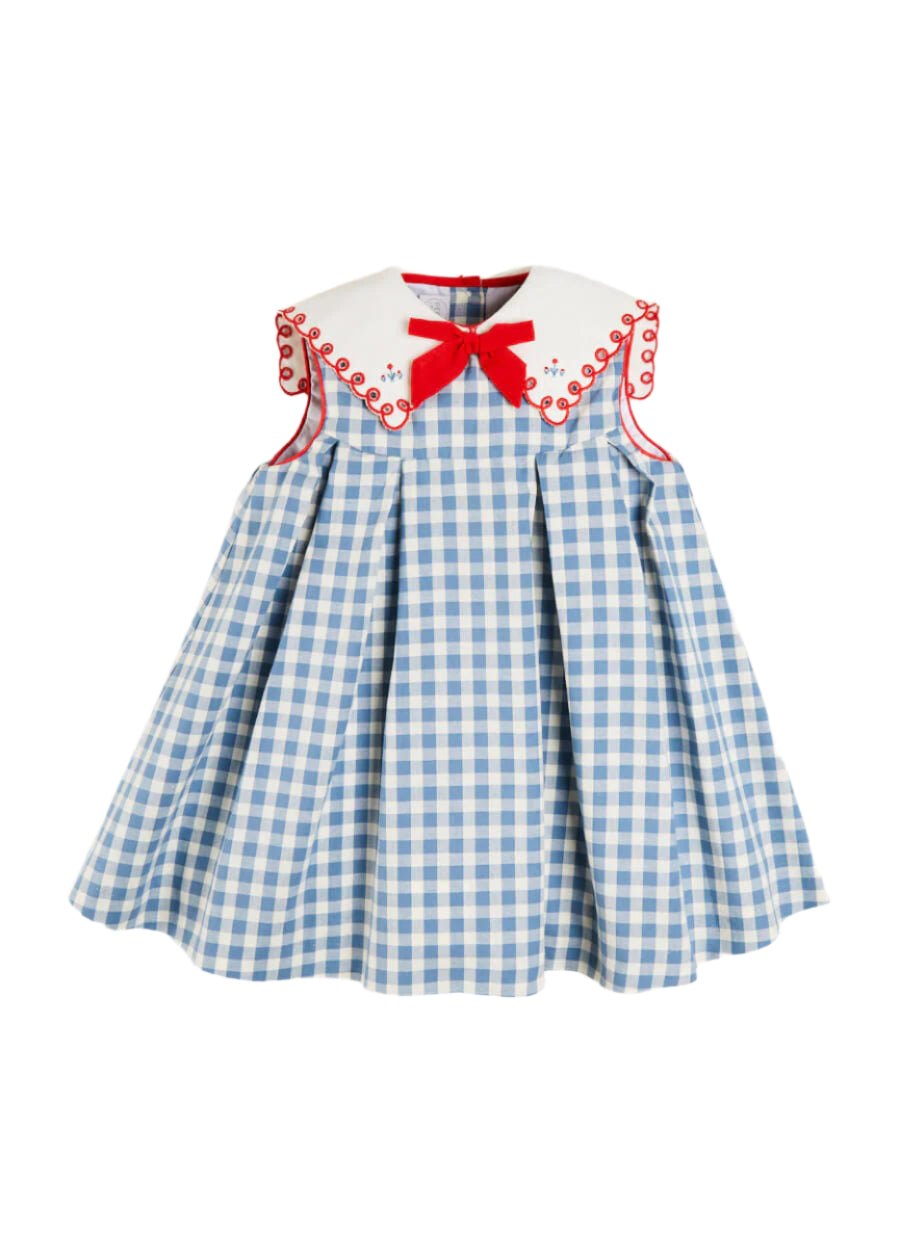 Embroidered Gingham Sleeveless Dress in Blue