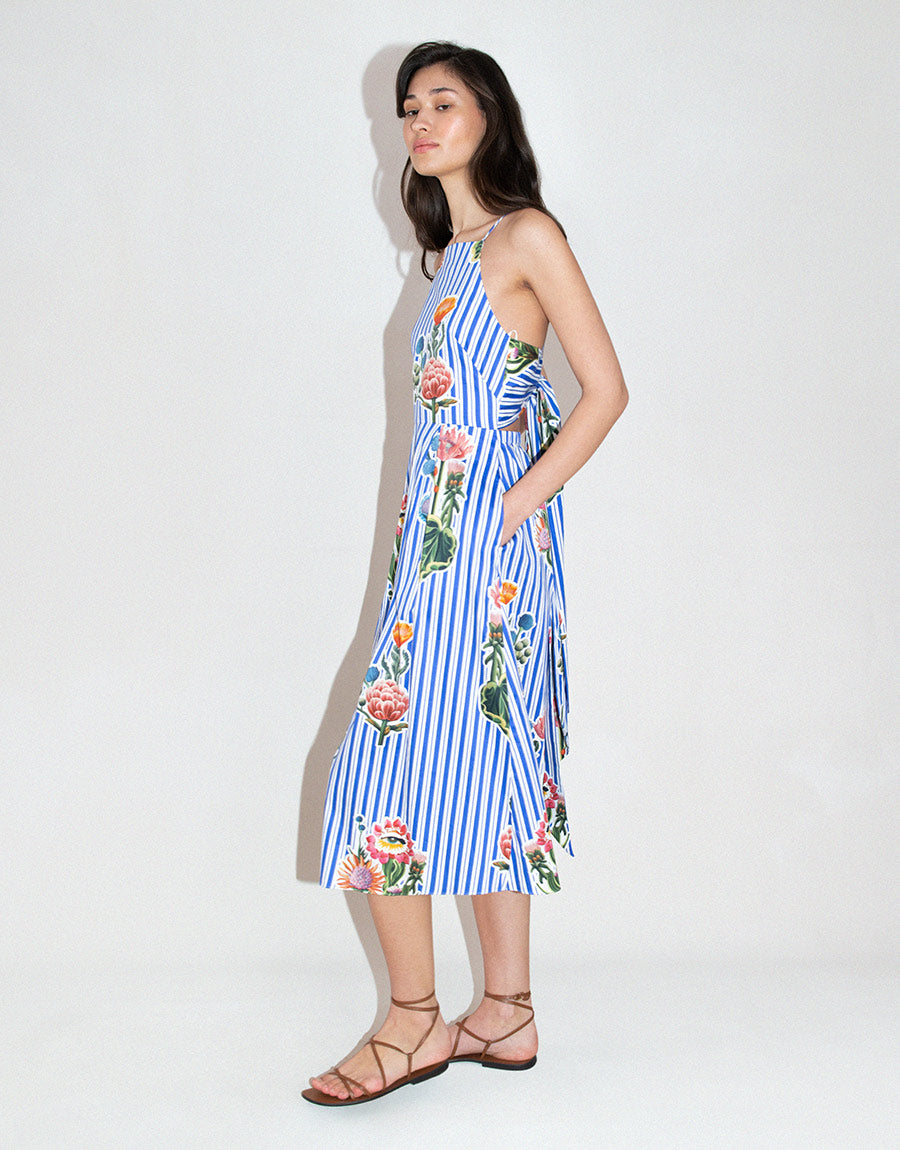 Goreti Cotton Midi Dress in California Garden