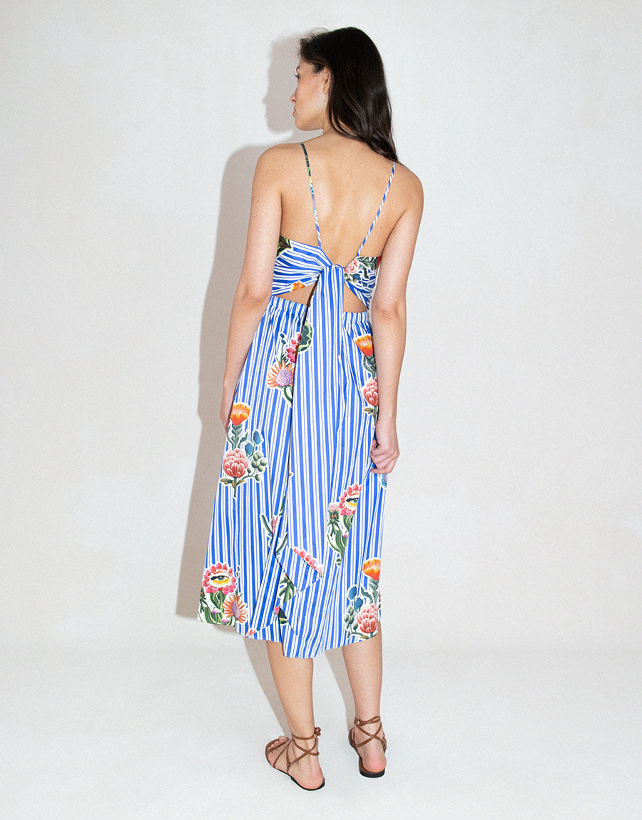 Goreti Cotton Midi Dress in California Garden