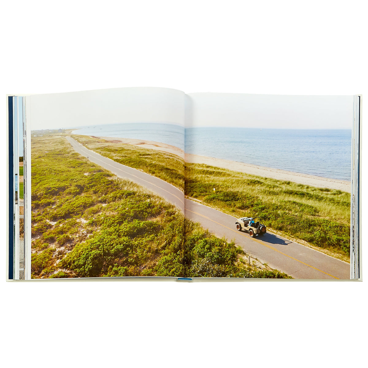 Beach Rides by Johnny Vacay in Ivory