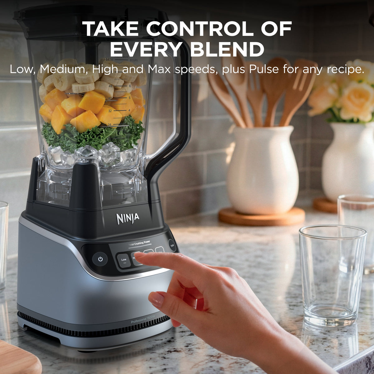 Ninja UltraCrush Professional Kitchen System