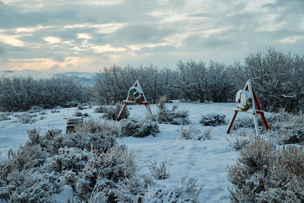 The Lodge at Blue Sky, Luxury 5-Night Stay
