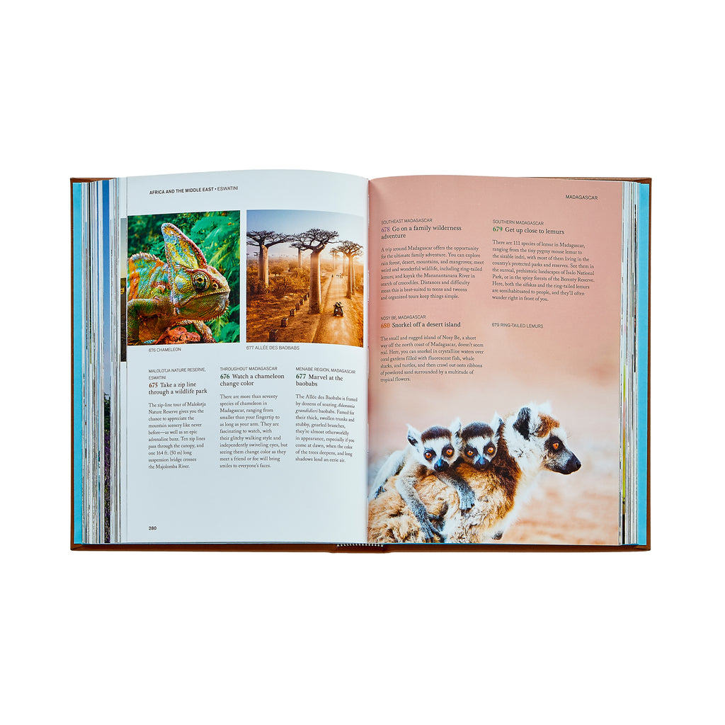 The Family Bucket List Bonded Leather