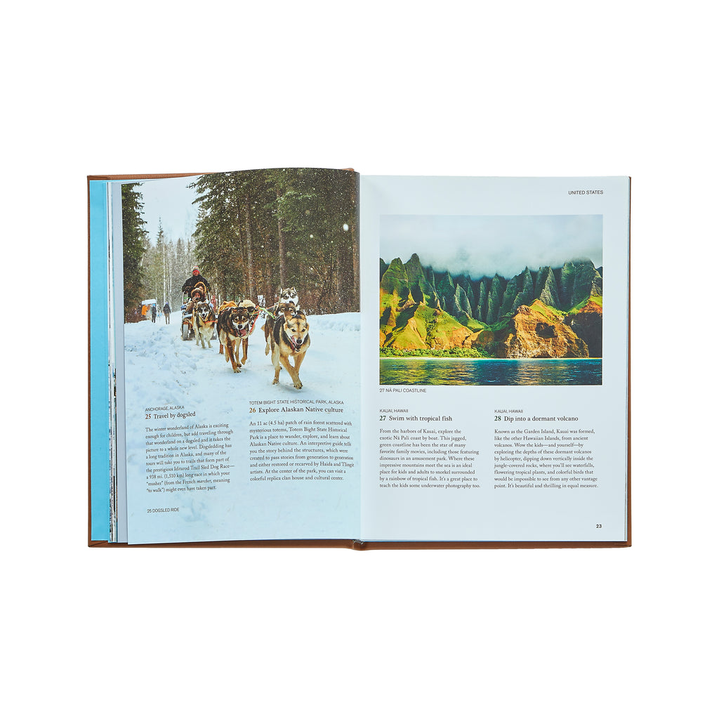 The Family Bucket List Bonded Leather