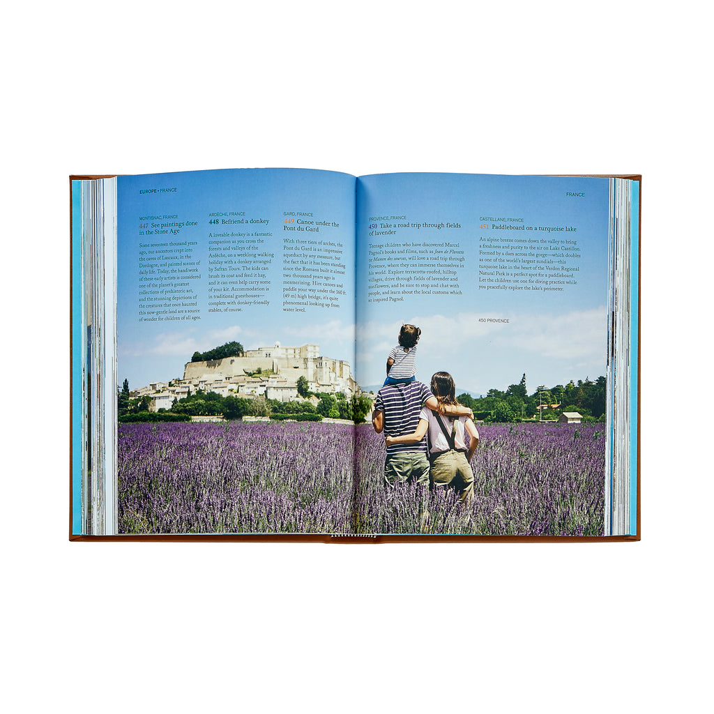 The Family Bucket List Bonded Leather
