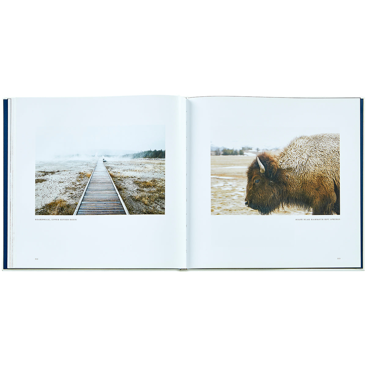 Yellowstone: A Land of Wild and Wonder Bonded Leather