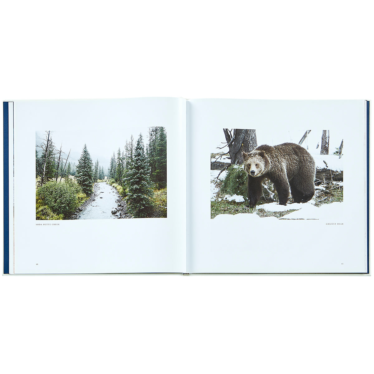 Yellowstone: A Land of Wild and Wonder Bonded Leather