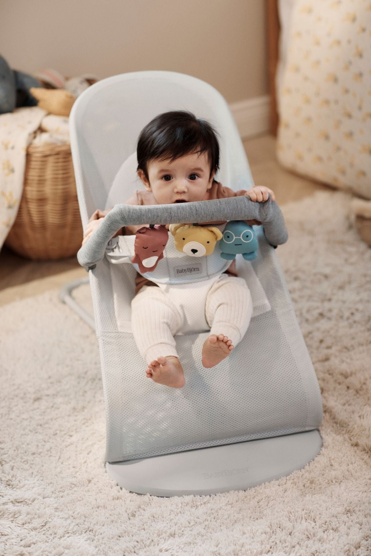 Toy for Bouncer in Soft Friends
