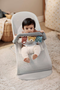 Toy for Bouncer in Soft Friends