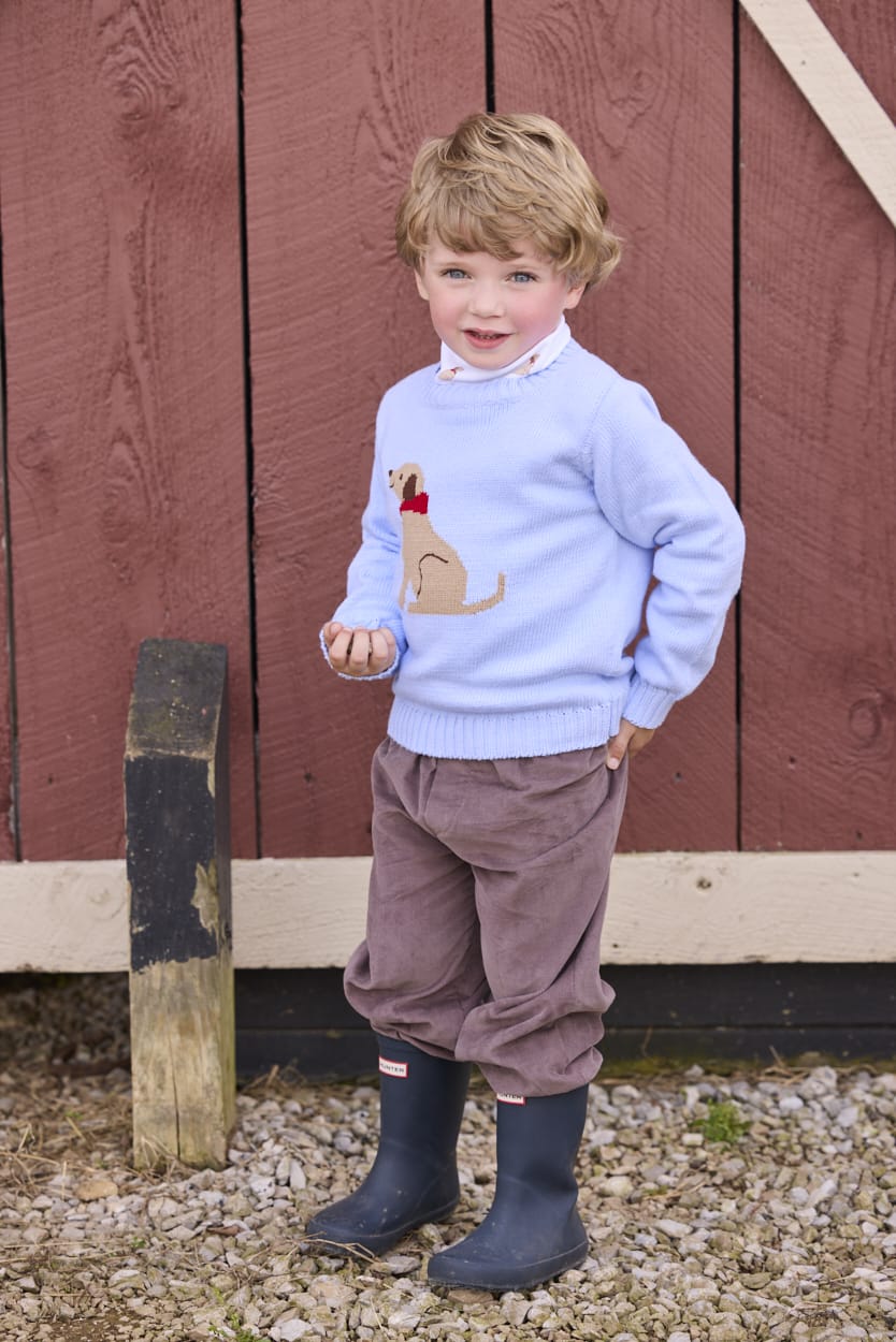 Little English traditional children's clothing. Light blue crew neck intarsia sweater with seated lab motif layered over lab printed turtleneck and paired with chocolate brown corduroy banded pants.