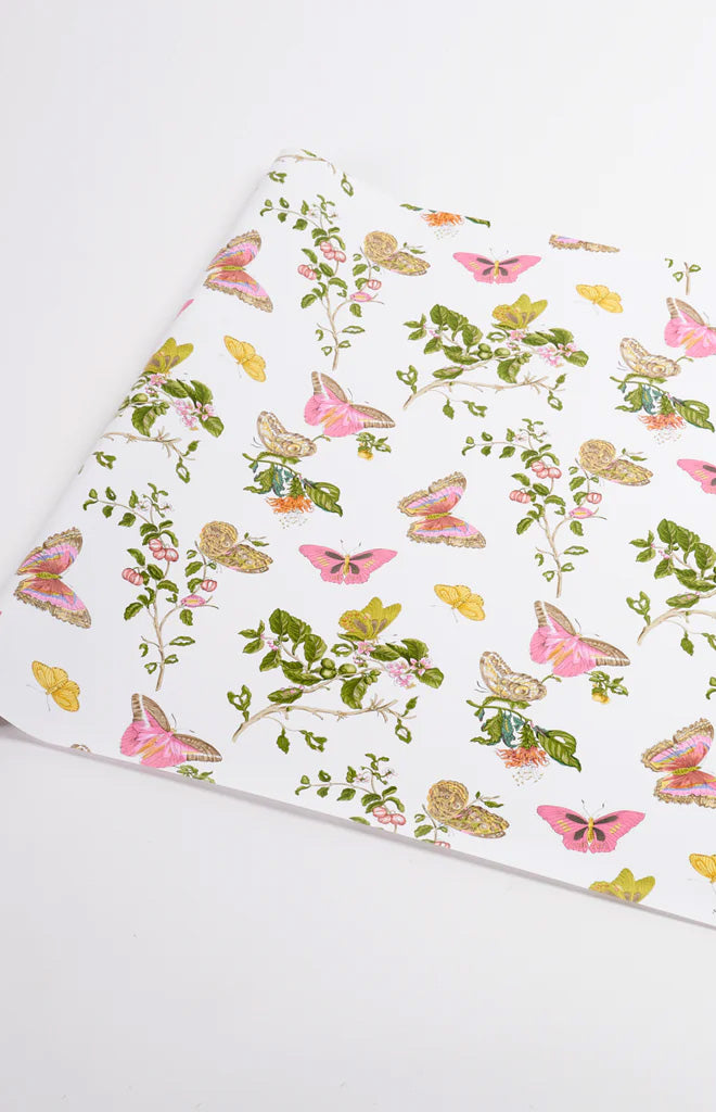 Baudin Butterfly Wrapping Paper In Blush