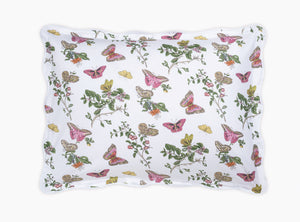 The Baudin Butterfly Collection