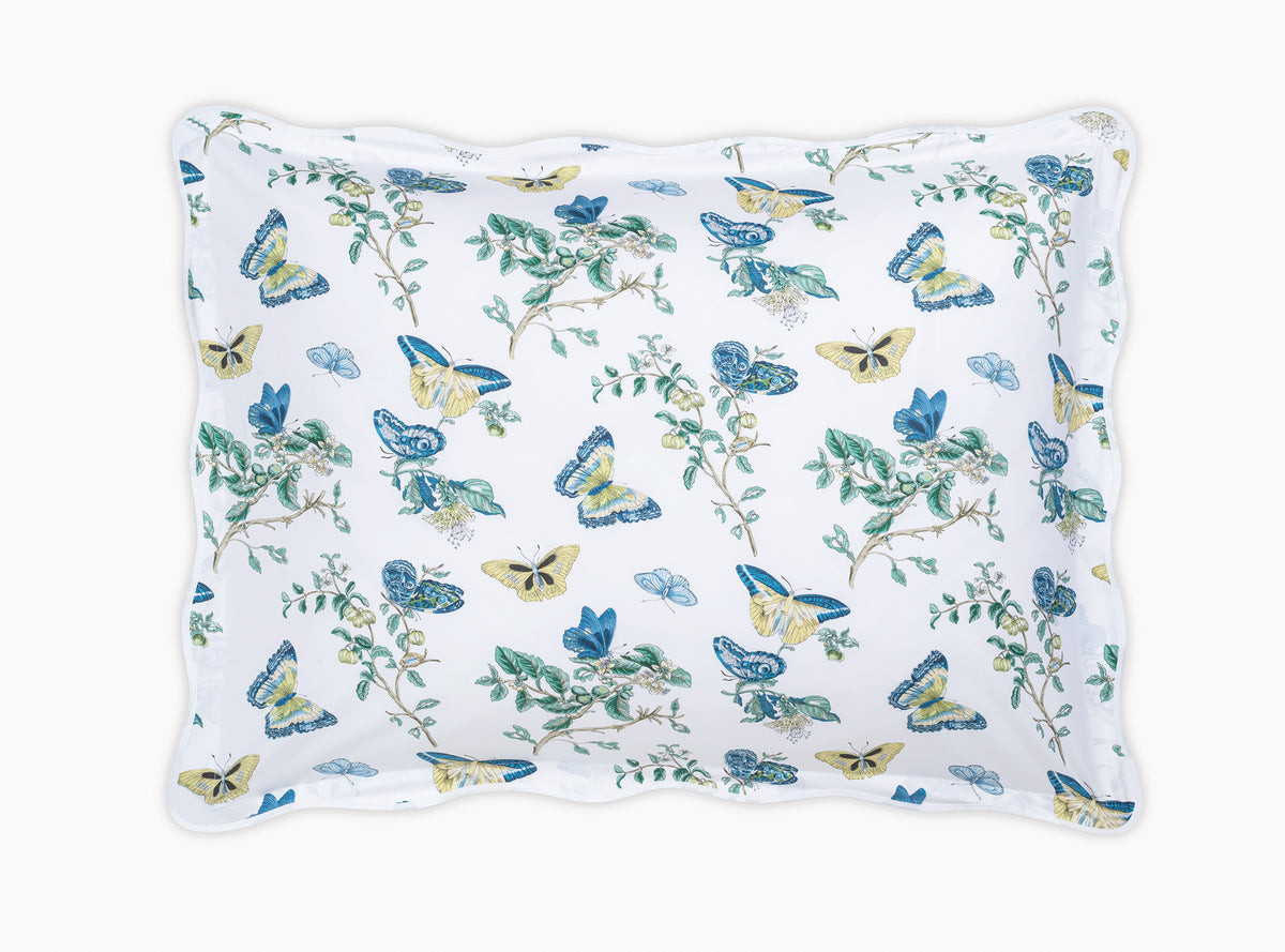 The Baudin Butterfly Collection