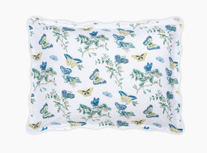 The Baudin Butterfly Collection