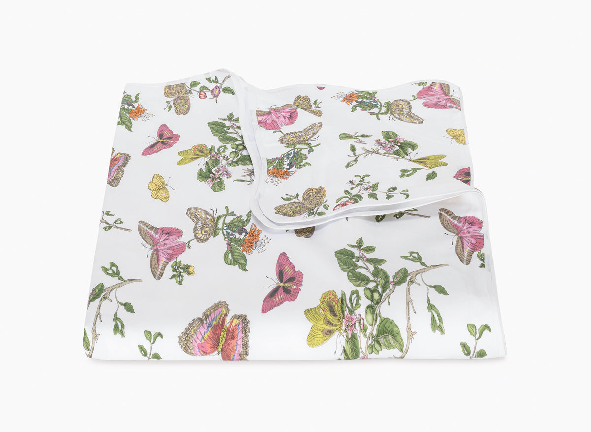 The Baudin Butterfly Collection