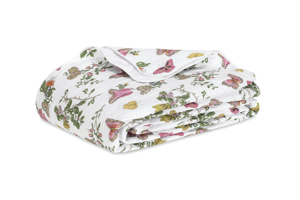 The Baudin Butterfly Collection