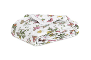 The Baudin Butterfly Collection