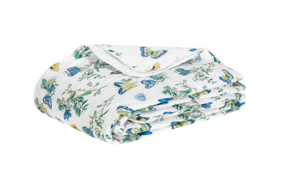 The Baudin Butterfly Collection