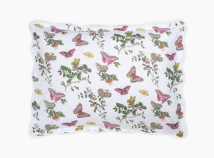 The Baudin Butterfly Collection
