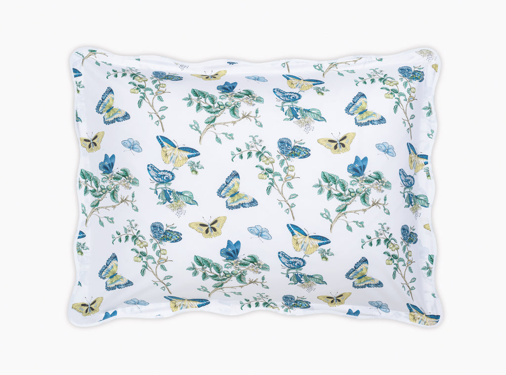 The Baudin Butterfly Collection
