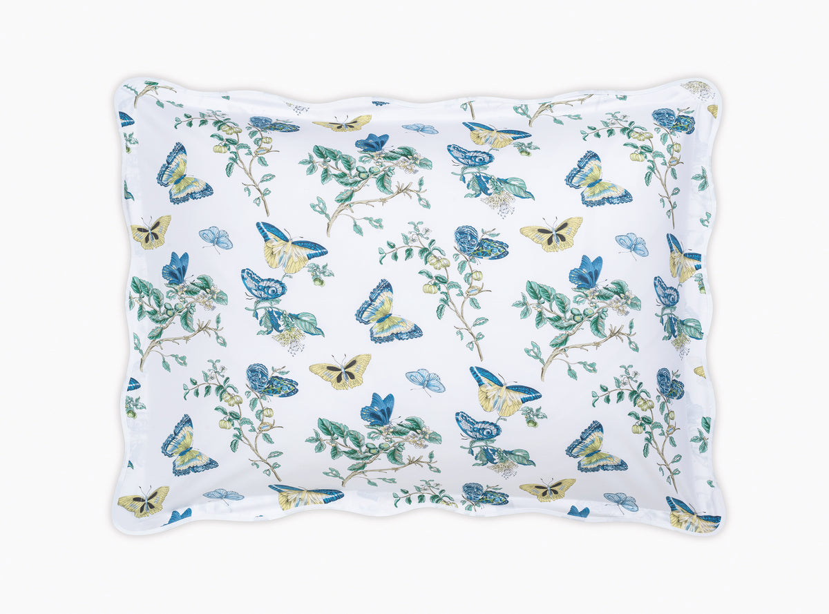 The Baudin Butterfly Collection
