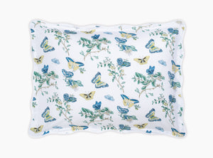 The Baudin Butterfly Collection