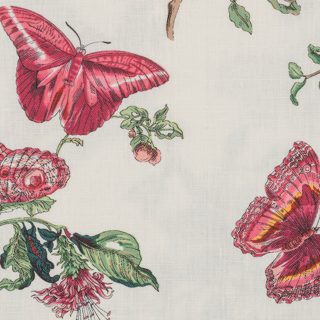 Baudin Butterfly Cocktail Napkin, Set of 4