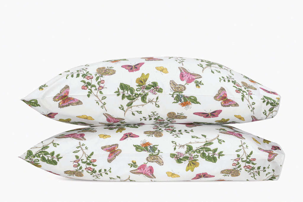The Baudin Butterfly Collection