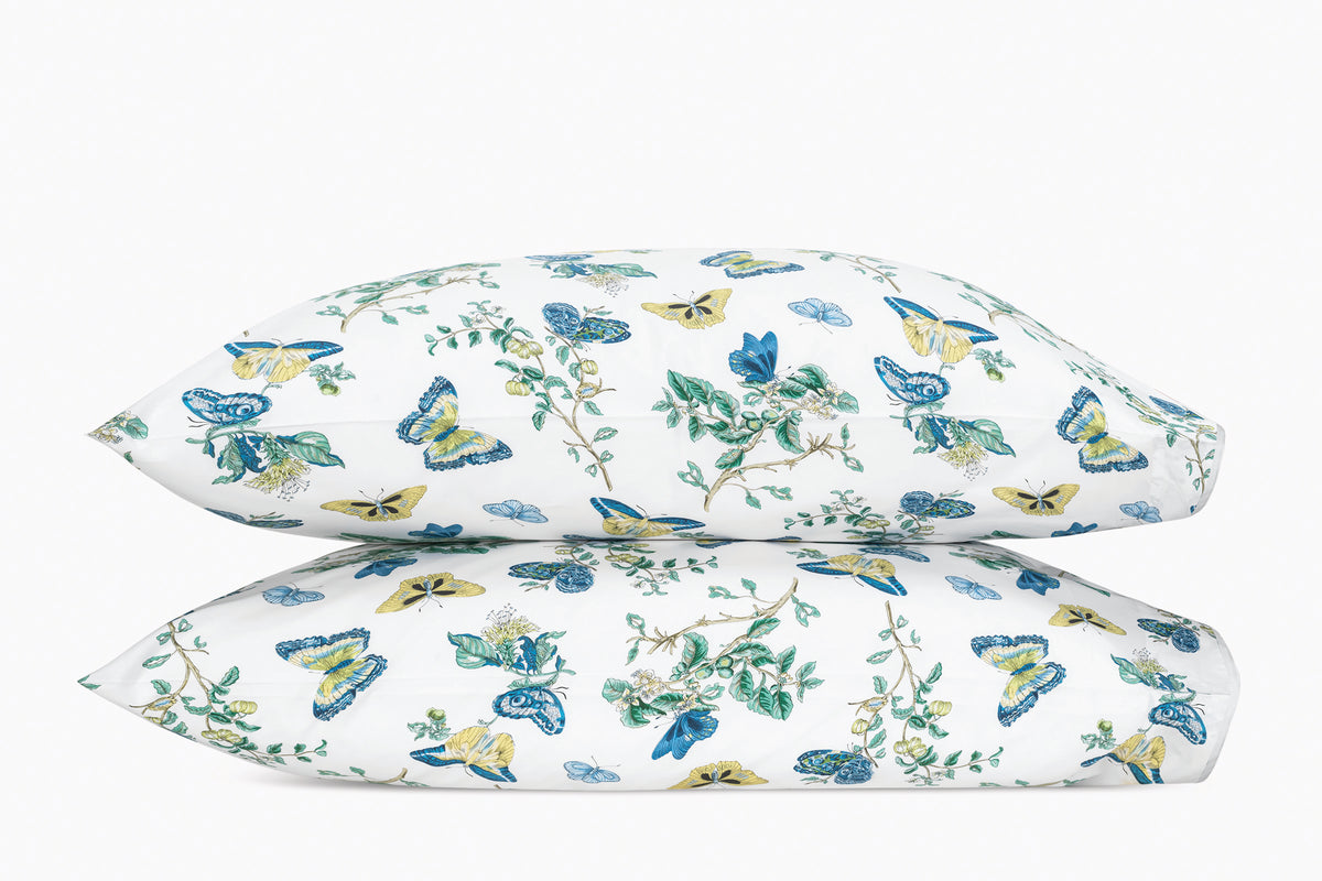 The Baudin Butterfly Collection