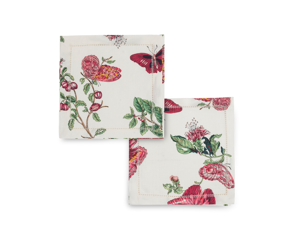 Baudin Butterfly Cocktail Napkin, Set of 4