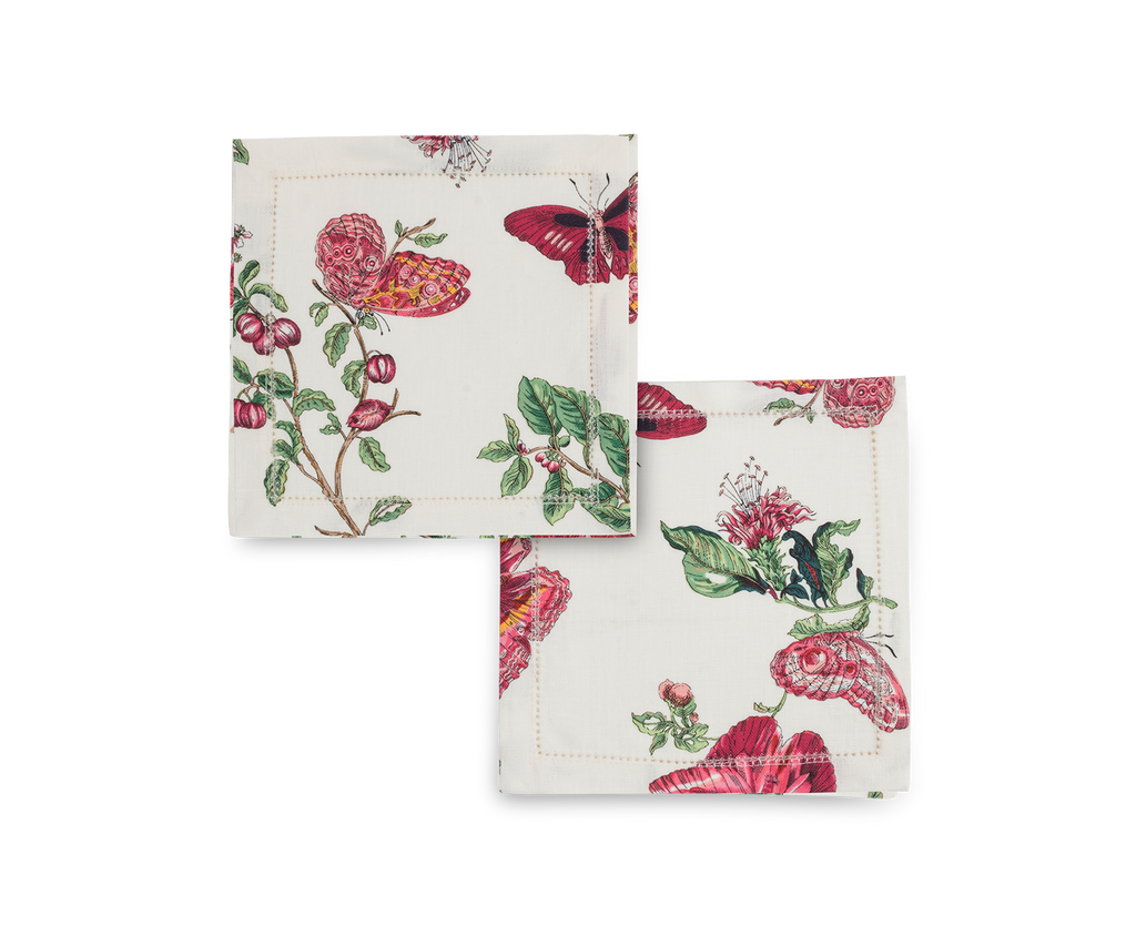 Baudin Butterfly Cocktail Napkin, Set of 4