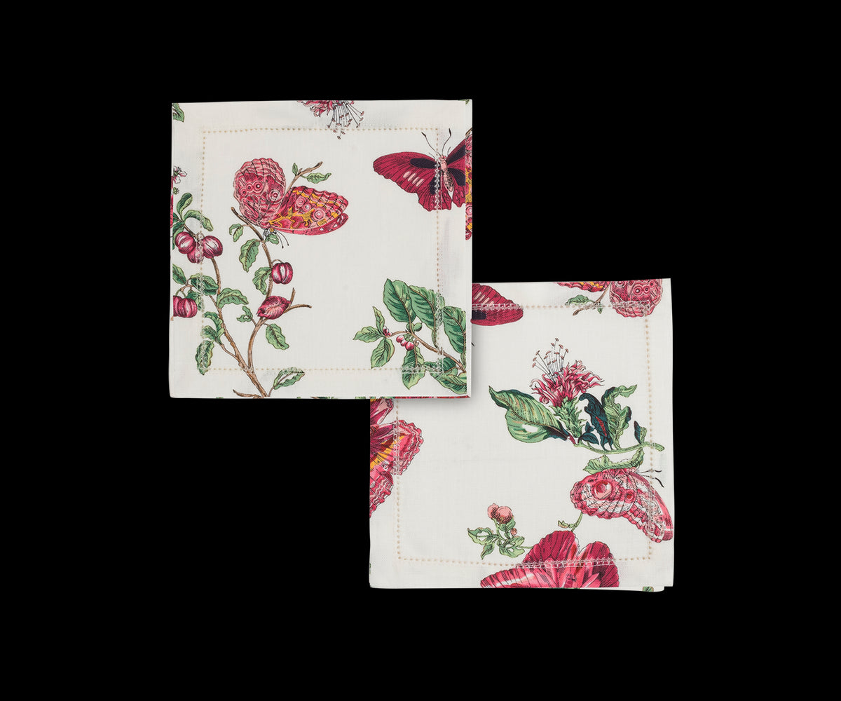 Baudin Butterfly Cocktail Napkin, Set of 4